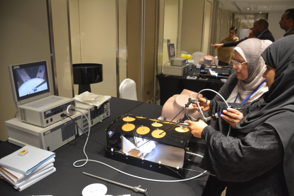Diploma in Gynecological Endoscopy MIS 1 — course photograph 26