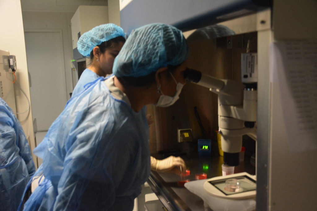 Post Graduate Diploma in IVF and Reproductive Medicine — course photograph 42