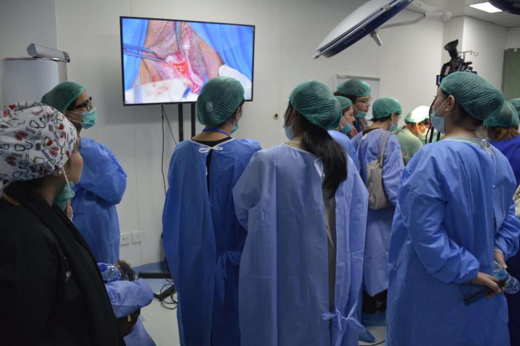 Diploma in Cosmetic Gynecology — course photograph 27