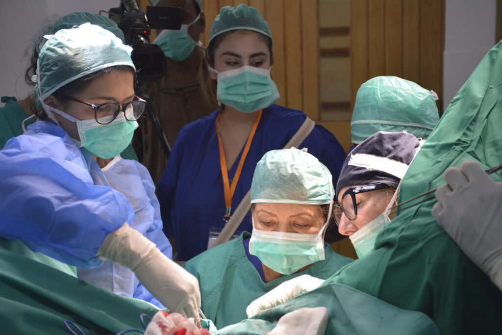 Master Certification in Cosmetic Gynaecology 26 - 27 , April — course photograph 12