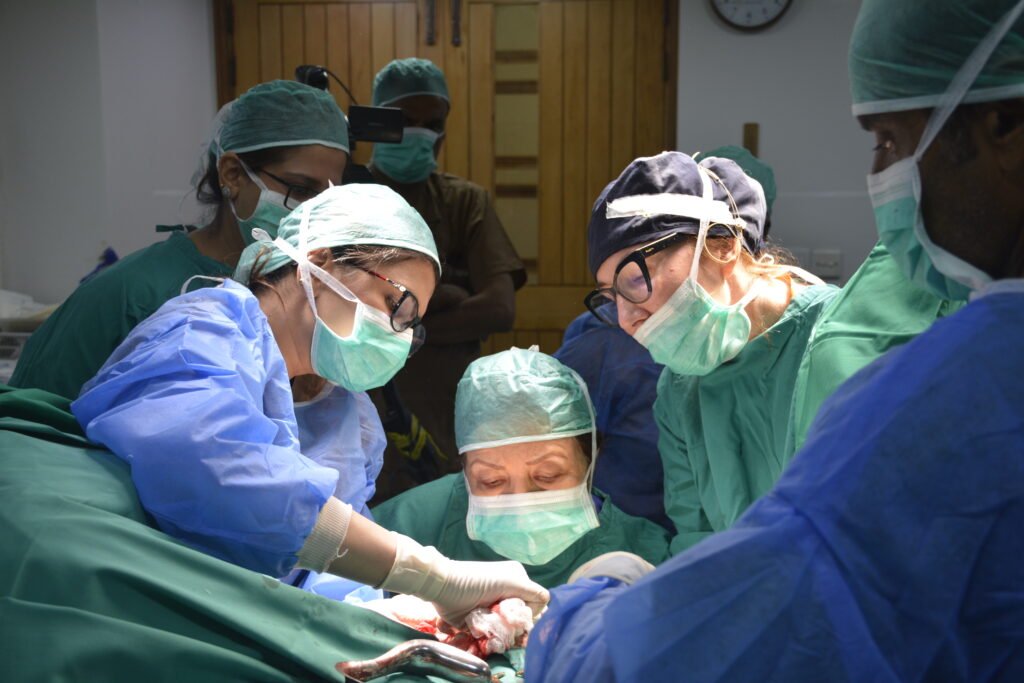 Master Certification in Cosmetic Gynaecology 26 - 27 , April — course photograph 11